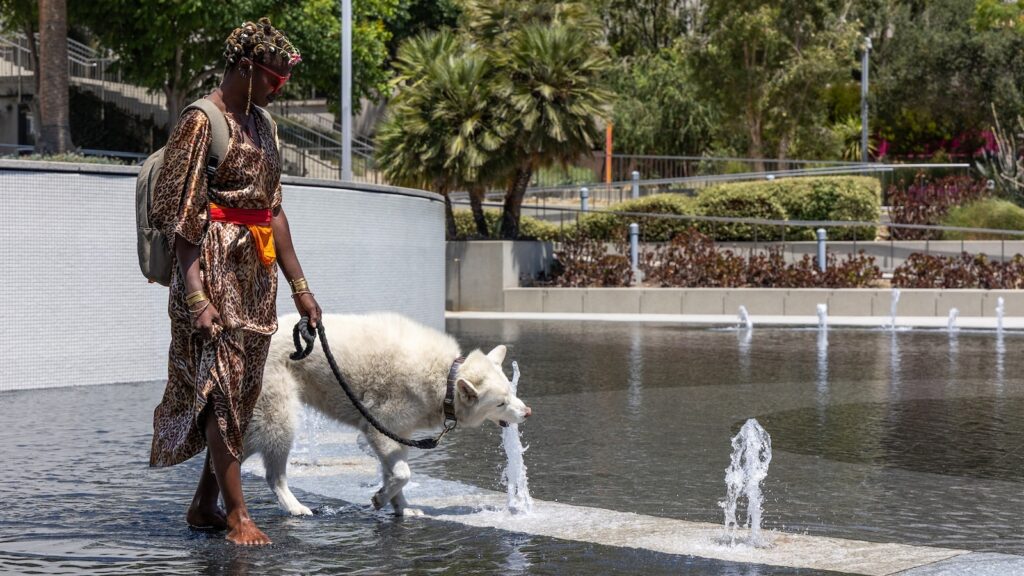 Extreme heat hitting Northeast, West: Latest on the scorching temperatures