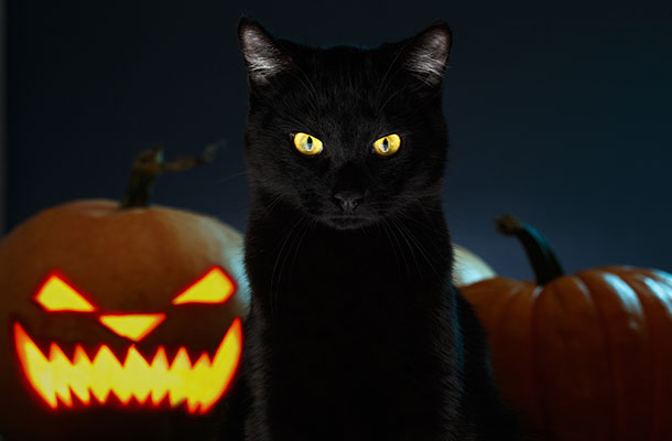 ATL’s 16th Annual Legally Themed Halloween Costume Contest
