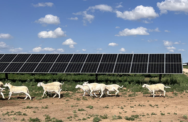 Solar power has provided more new generating capacity than any other source for two years straight