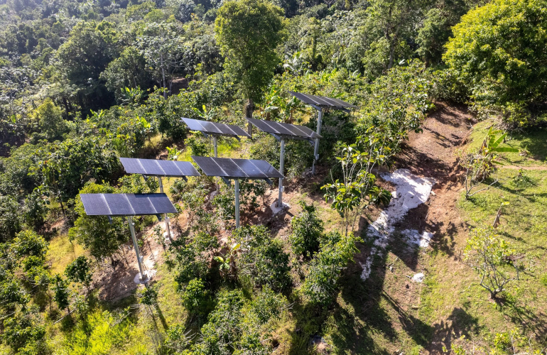 Pole-mount agrivoltaics project installed at Puerto Rico coffee farm