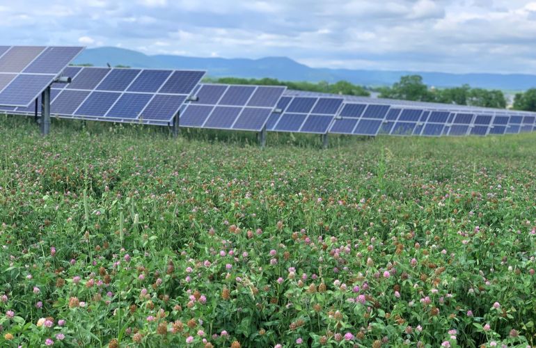 100+ Pennsylvania organizations demand state interconnection reform