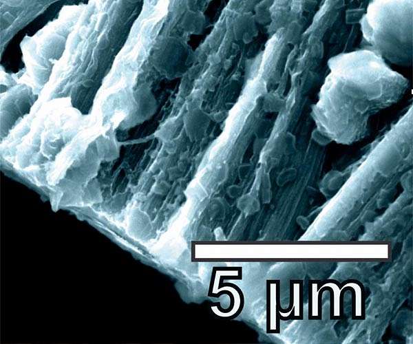Redesigned carbon framework boosts battery safety and power
