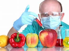 Lab-Grown Meat Marketed To Children