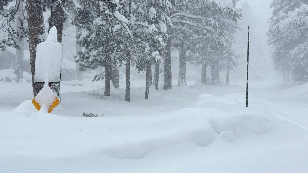 10 backcountry skiers missing following avalanche in northern California: Authorities